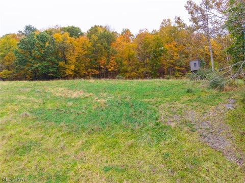 Tiny photo for Crescent Road, St Clairsville, OH 43950 (MLS # 5255678)