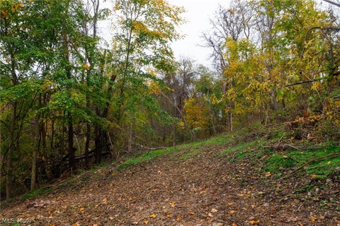 Tiny photo for Crescent Road, St Clairsville, OH 43950 (MLS # 5255678)