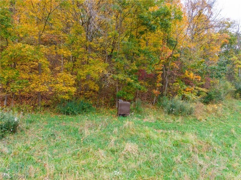 Tiny photo for Crescent Road, St Clairsville, OH 43950 (MLS # 5255678)
