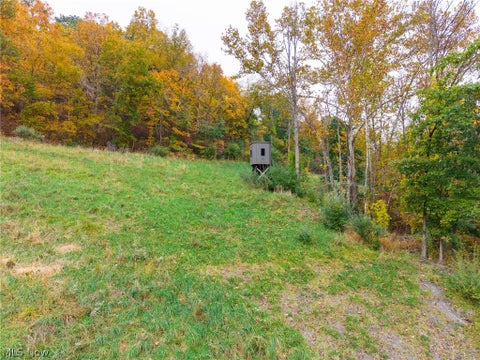 Tiny photo for Crescent Road, St Clairsville, OH 43950 (MLS # 5255678)