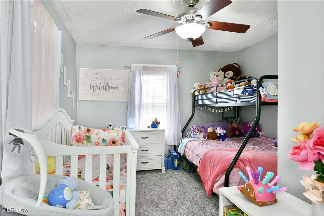 6068 Beach Smith Road, Kinsman, Ohio image 24