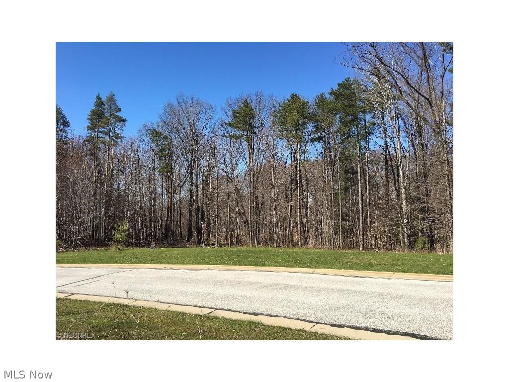 Woods/Arbor Glen - Land