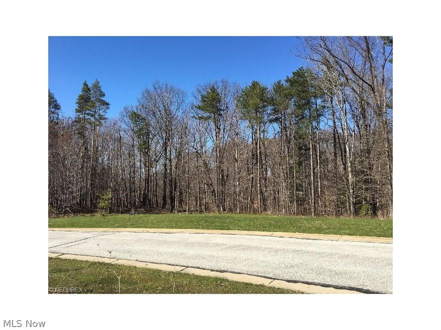 This beautiful five acre lot has a natural rise at the top of the hill which offers a majestic spot to build your beautiful new home which will be surrounded by other beautiful homes. A creek runs at the very back of the property. Some of it is level, but most is rolling with possibilities of building with a walk-out basement. This is one of the last fully improved lots in Kirtland Hills with water, sewer, electric and gas right at the property. This beautiful site has been evaluated by the Army Corps of Engineers which has verified there is only one small area of wetlands by the creek, so a new owner has the green light to choose where to build subject only to deed restrictions. SL 2 is the first lot you see on your left as you go up Holden Ct. SL1 is already built and accessed on King Memorial. There is no home owners association and no requirement for a specific builder. Choose your builder. This is one of the most beautiful affordable options out there. It is Kirtland Hills with Me