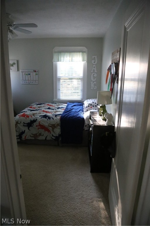Wayne Park - Residential
