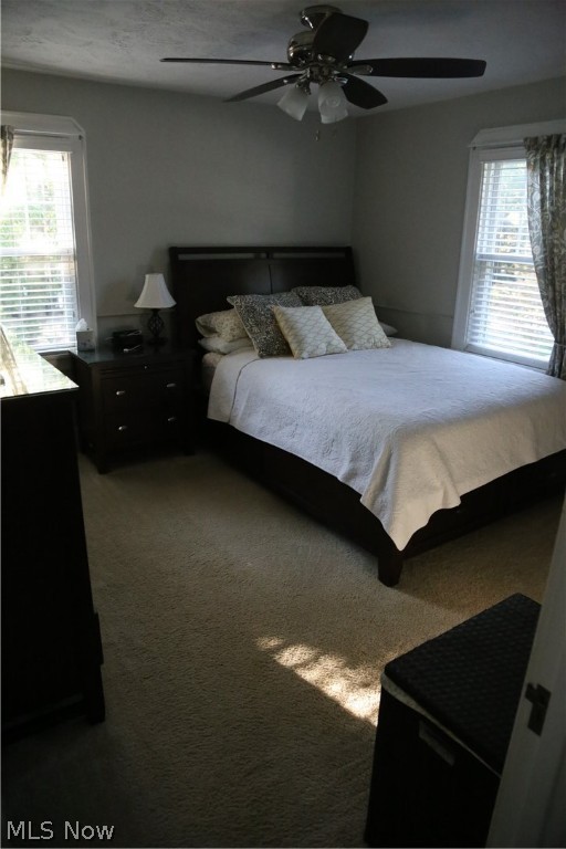 Wayne Park - Residential