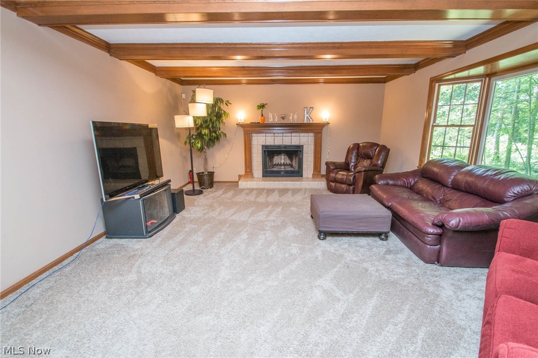 Falling Water - Residential