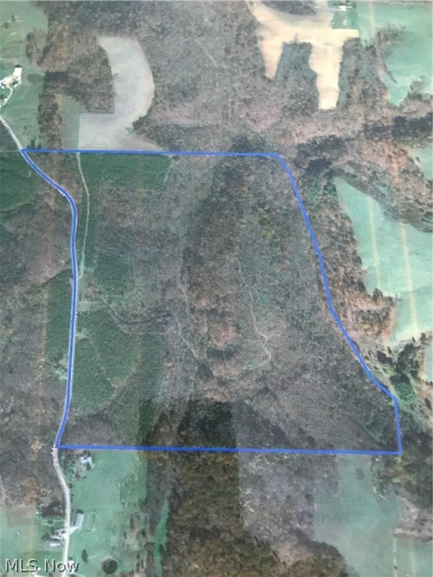 First time offered, 139 vacant acres of AEP Land. Totaly wooded, hardwoods and planted pines. Excellent hunting/recreation land with lots of road frontage on Hupp Rd. All mineral rights owned transfer except oil/gas rights. Just 1 hr 40 minutes from Millersburg, New Philadelphia and Columbus. Excellent opportunity to purchase a large acreage before any splitting!