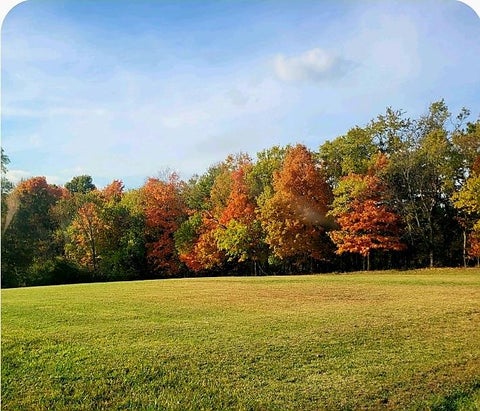 Photo for 7326 State Route 19 U8 L101-102