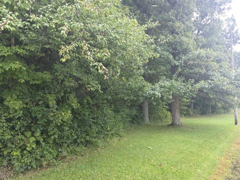 Photo for 5205 County Road 9