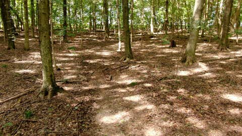 Photo for 0 Township Road 2104