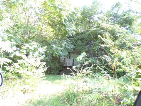 Homes For Sale - 1133 Siler Street<br/> Sandusky County, Fremont, OH 43420