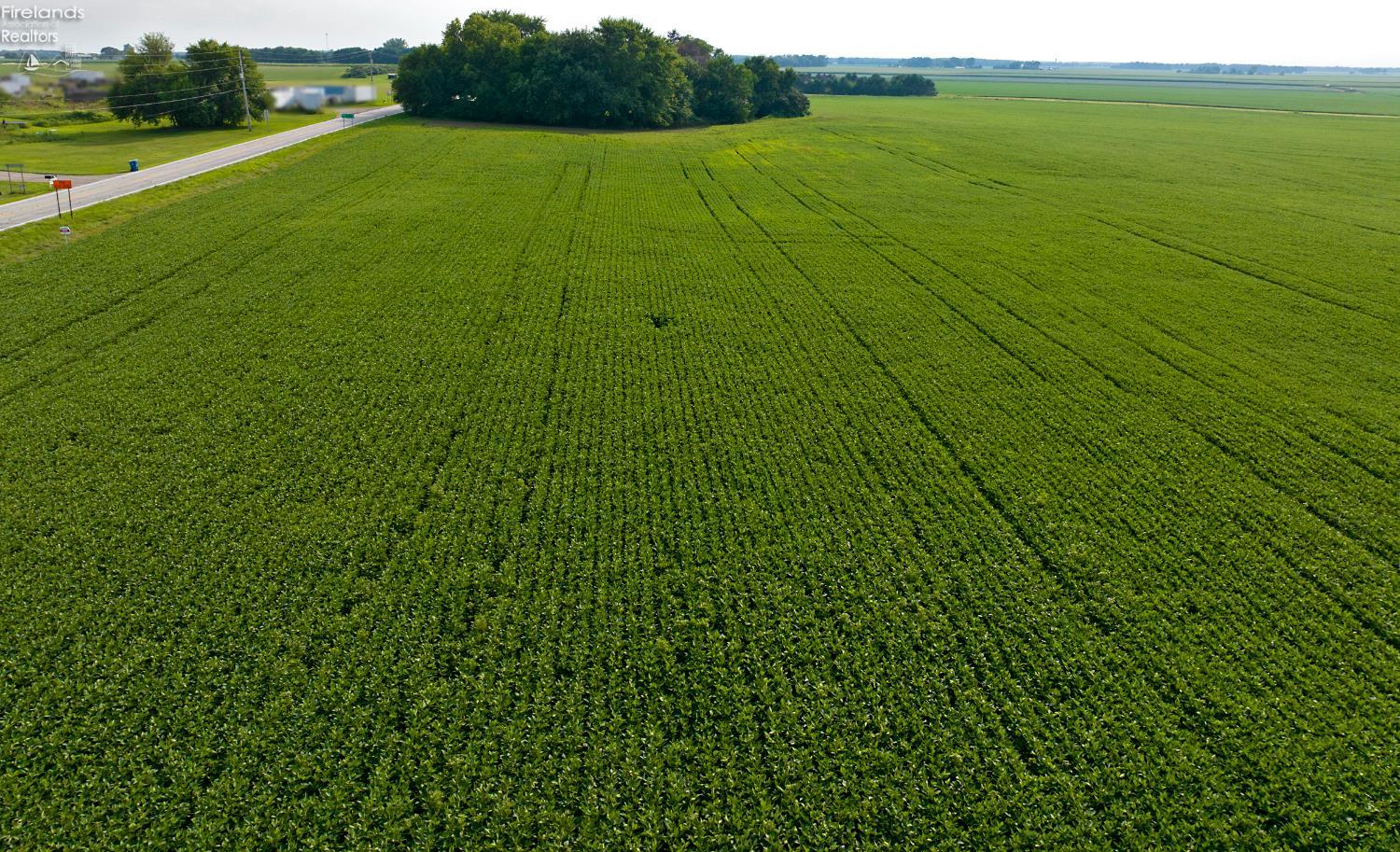 Clyde, Ohio 43410, United States, ,Land,Active,186743