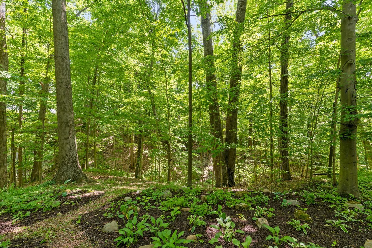 51689 Becker Road, Wakeman, Ohio image 26