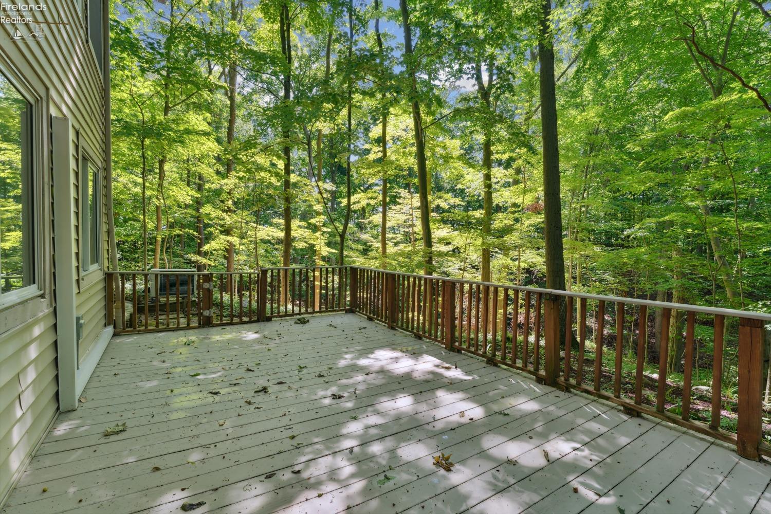 51689 Becker Road, Wakeman, Ohio image 47