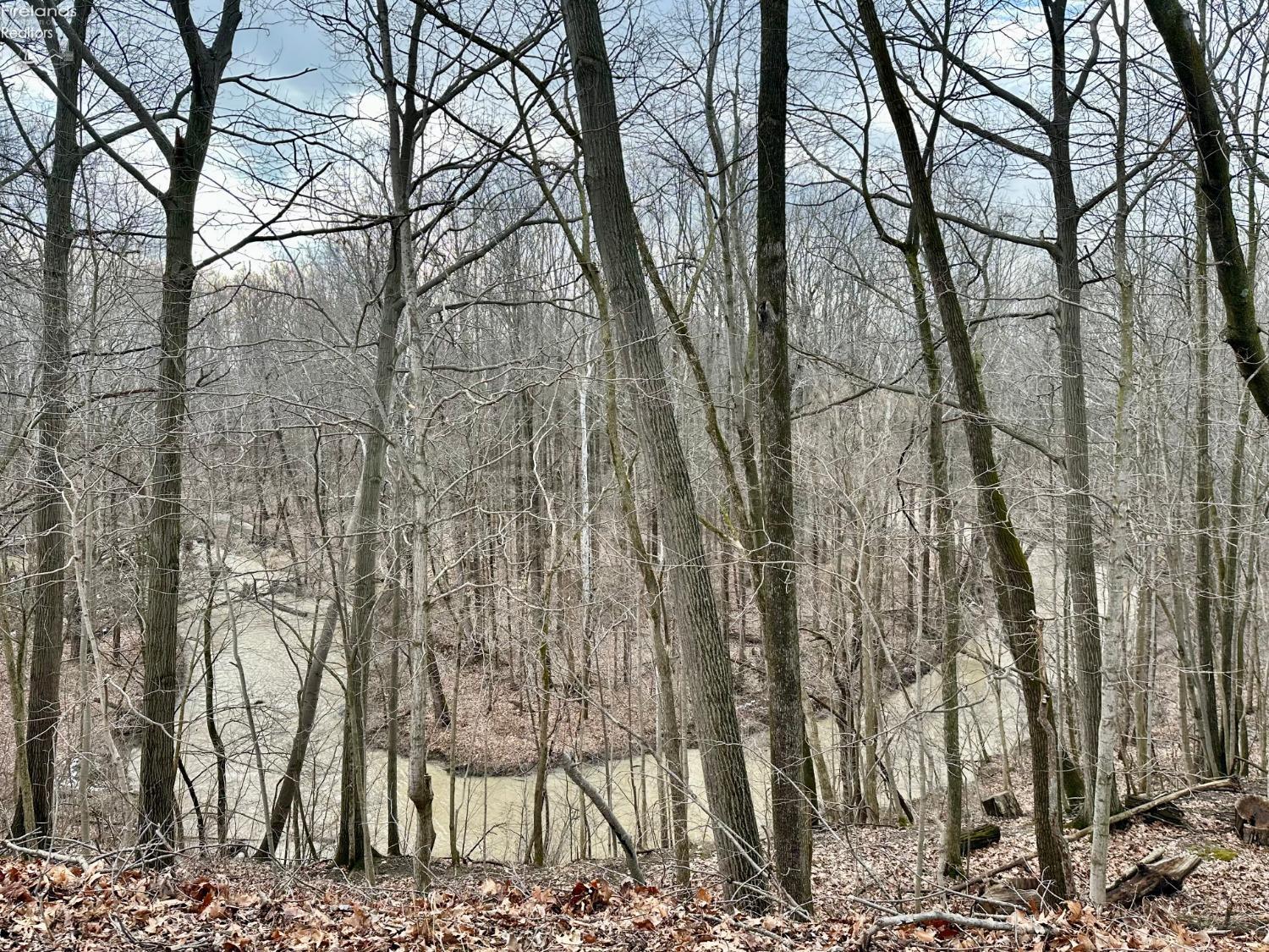 51689 Becker Road, Wakeman, Ohio image 30