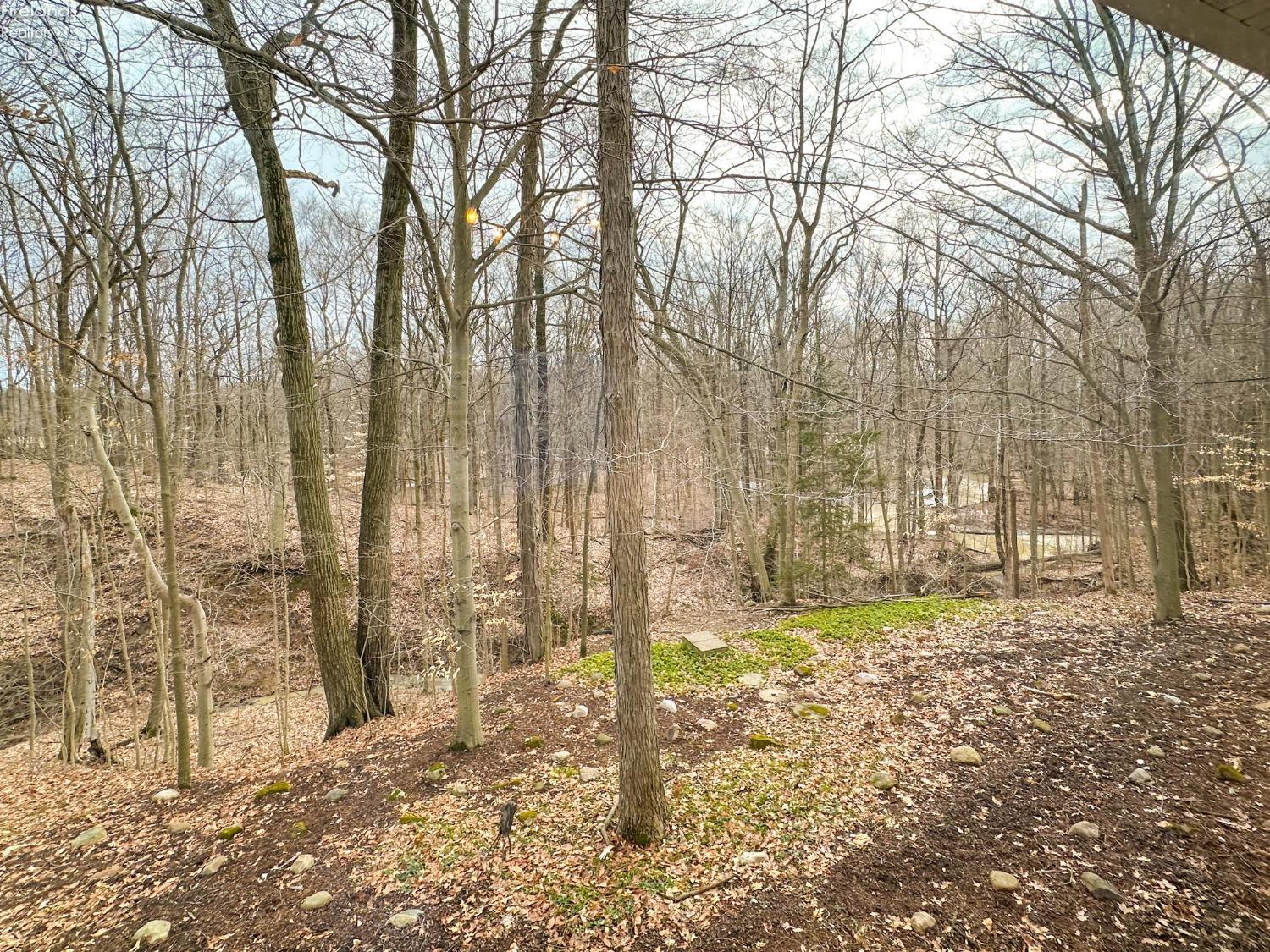 51689 Becker Road, Wakeman, Ohio image 29