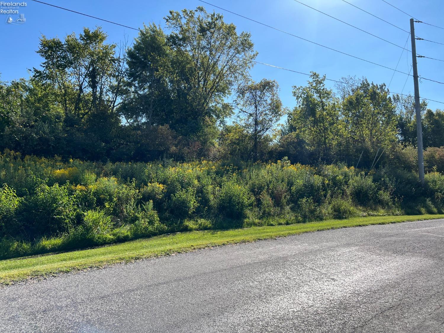 1221 Ramona Drive, Willard, Ohio image 1