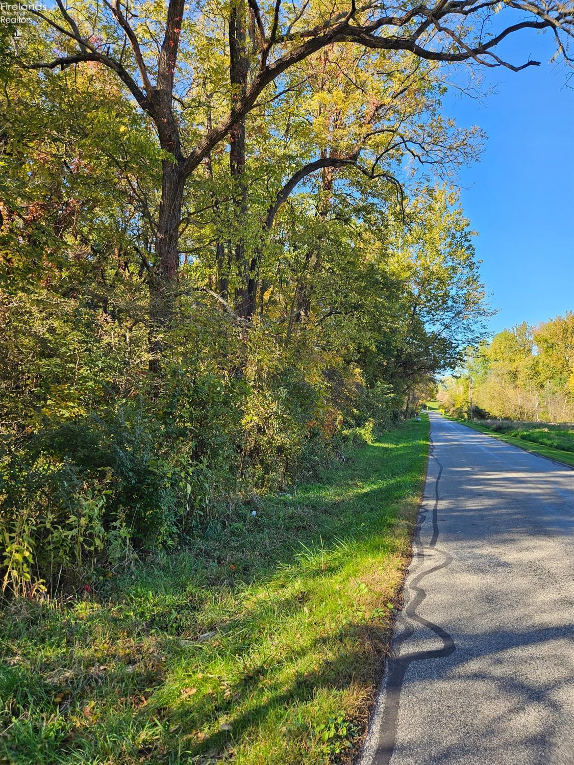 Chapin Road, Berlin Heights, Ohio image 1