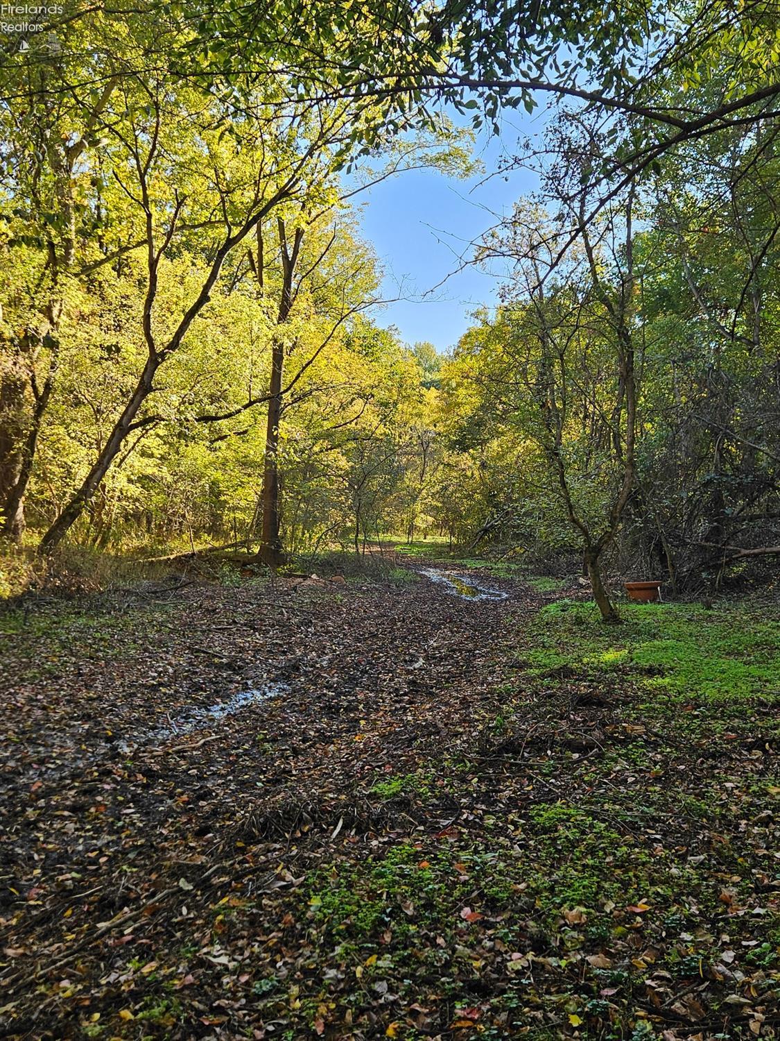 Chapin Road, Berlin Heights, Ohio image 5