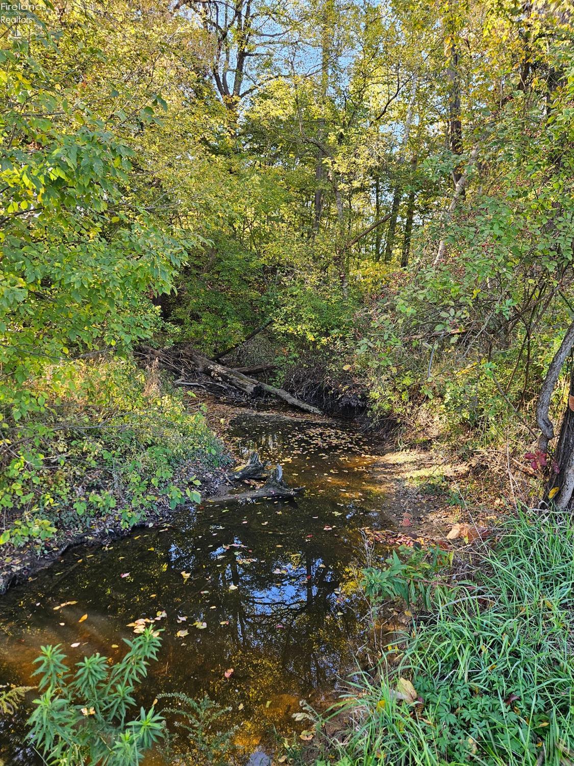 Chapin Road, Berlin Heights, Ohio image 6