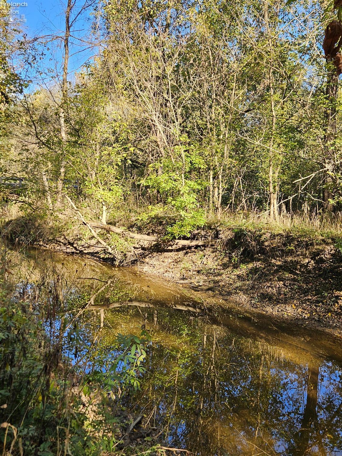 Chapin Road, Berlin Heights, Ohio image 7