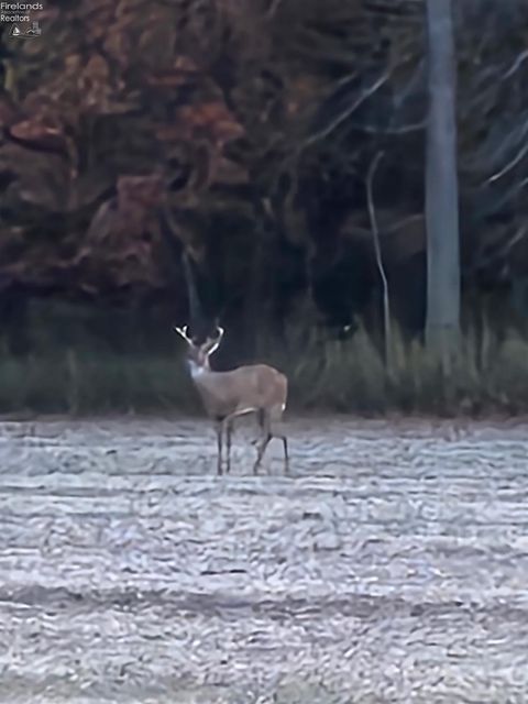 Homes For Sale - Section Line Road<br/> New London, OH 44851