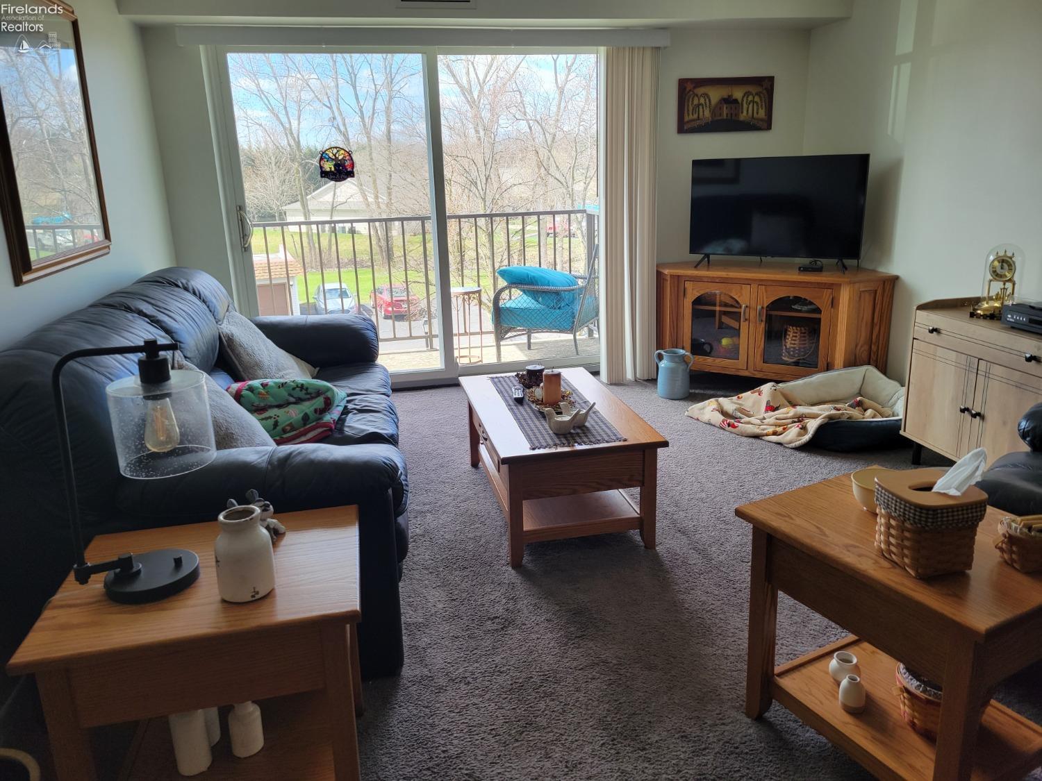 1315 S Lake Wilmer Drive #302, Sandusky, New Mexico image 4