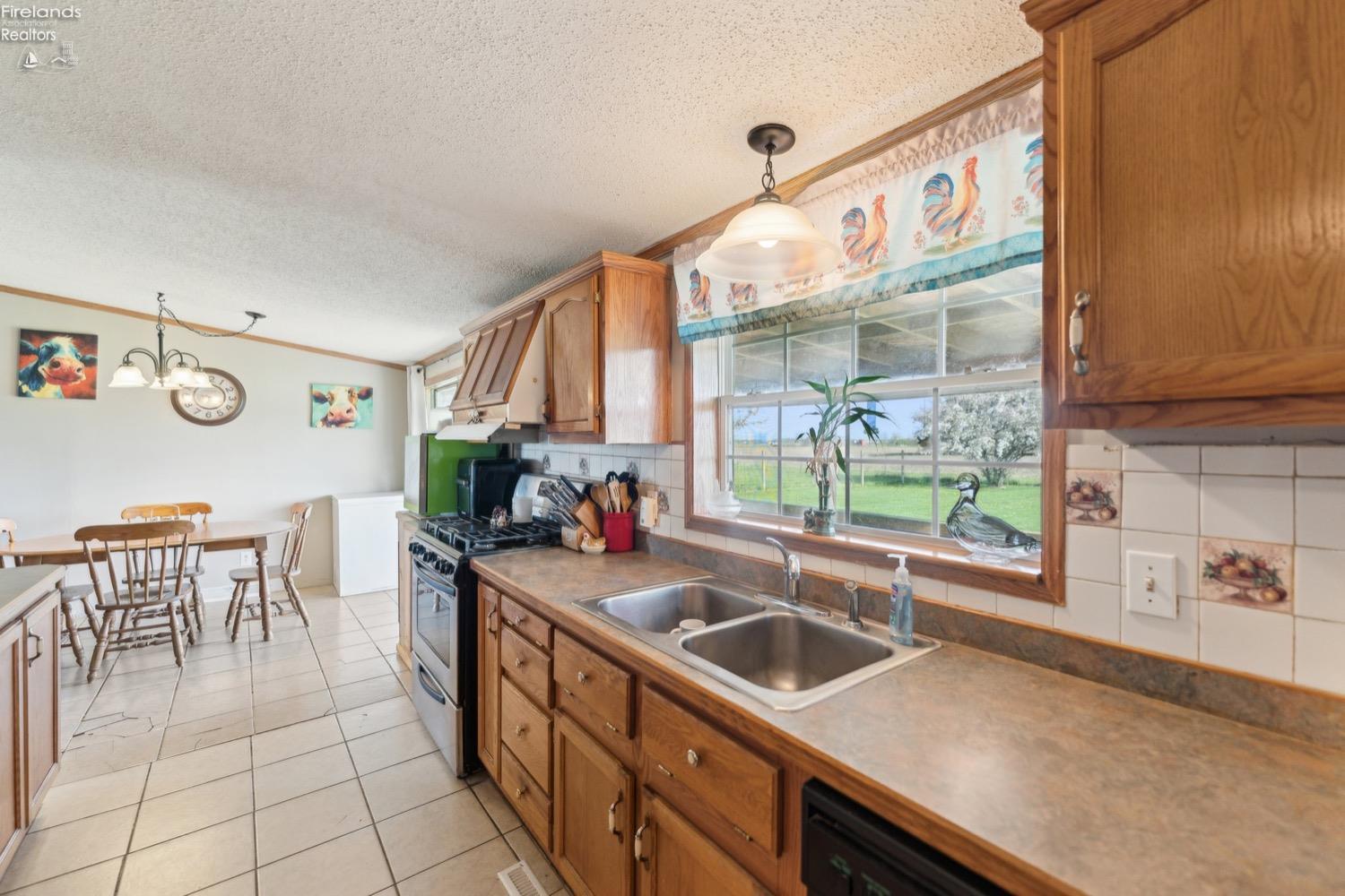 6874 County Road 11, Rising Sun, New Mexico image 9