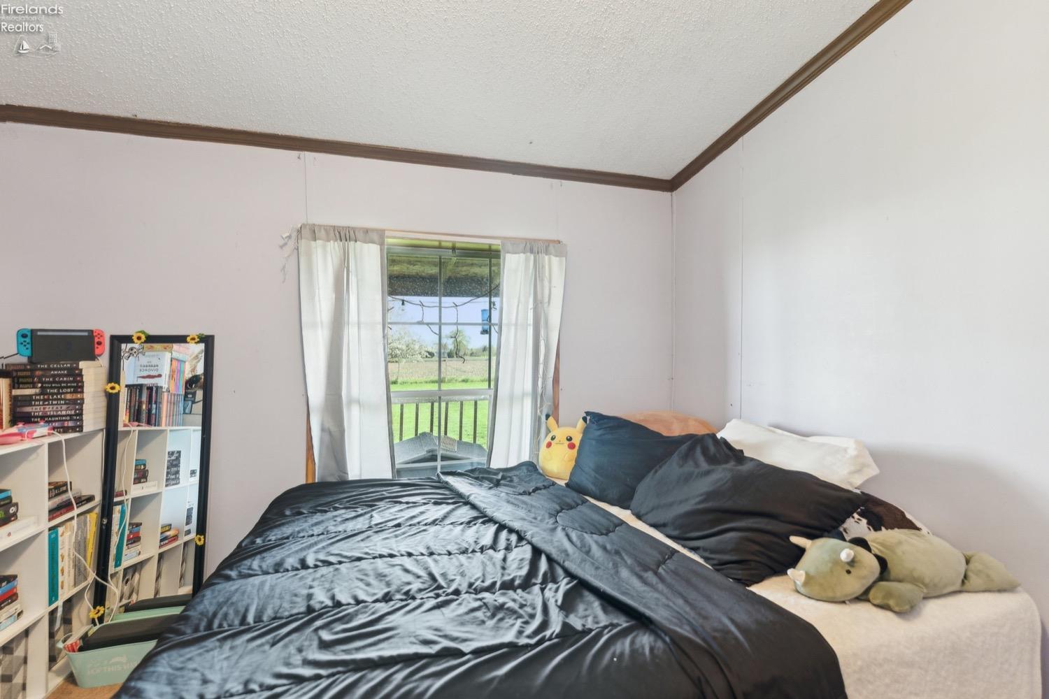 6874 County Road 11, Rising Sun, New Mexico image 19