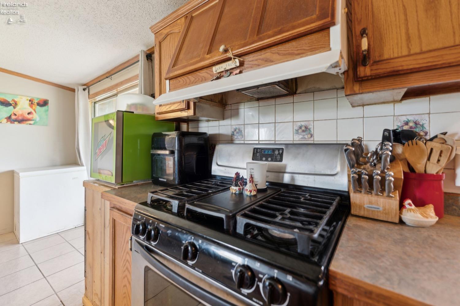 6874 County Road 11, Rising Sun, New Mexico image 10