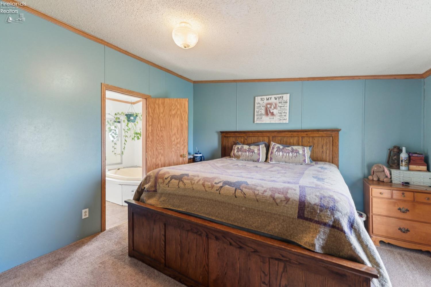 6874 County Road 11, Rising Sun, New Mexico image 13