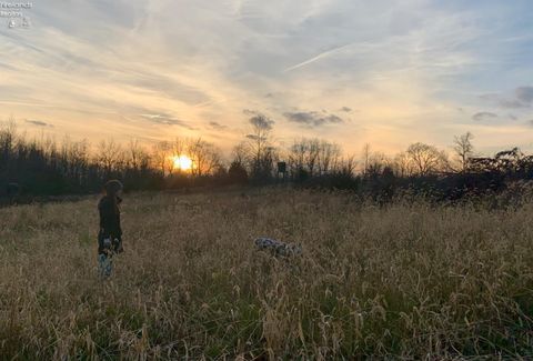 Vacant Land For Sale - S Tr 173<br/> Bloomville, OH 44818