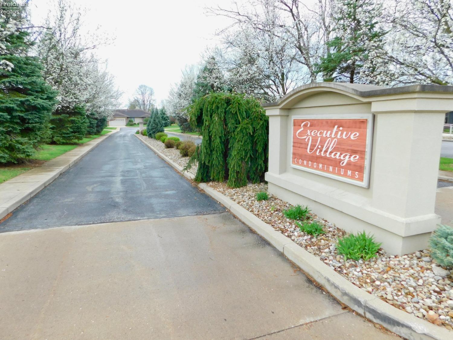 7 Executive Village Court, Norwalk, Texas image 2
