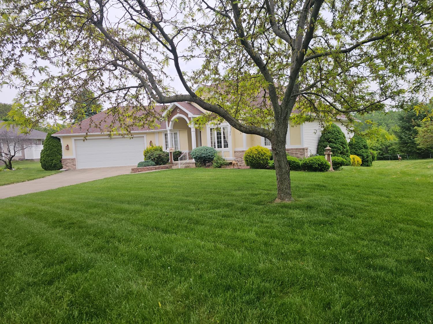 100 Parkview Place Pl, Bellevue, Texas image 2