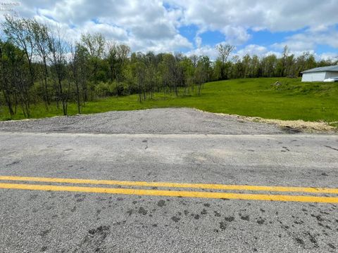 Vacant Land For Sale - 4357 W Townline Road 12<br/> Huron County, Willard, OH 44890