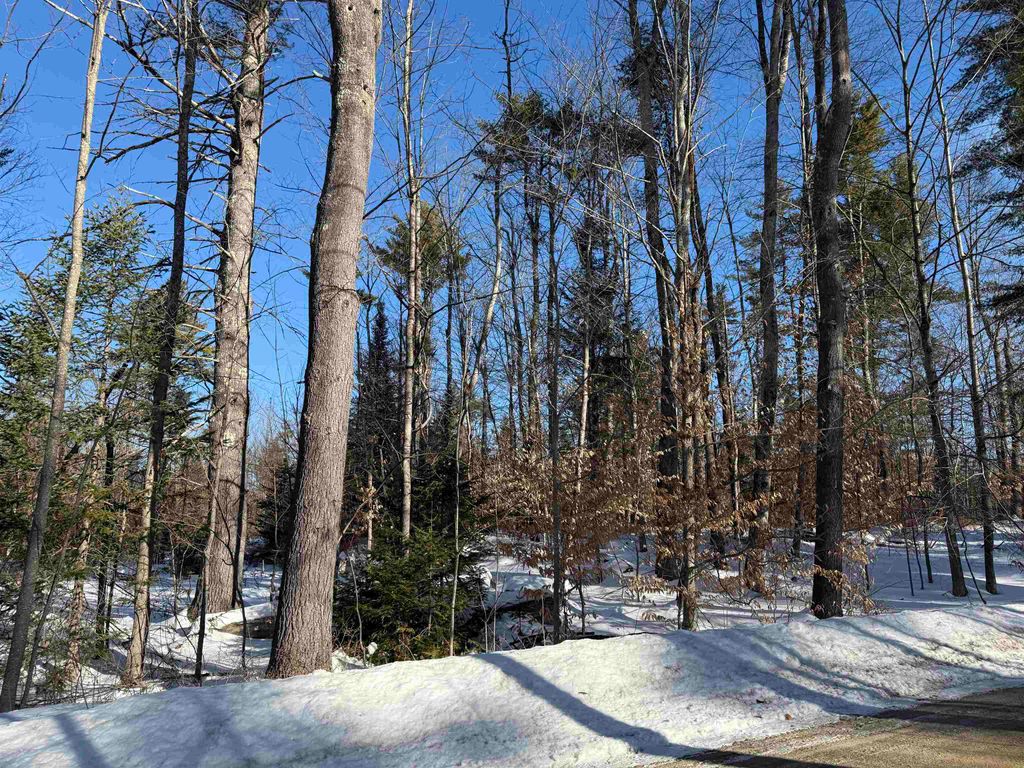 Photo of 00 Hobbs Road, Effingham, NH 03882 (MLS # 5076882)