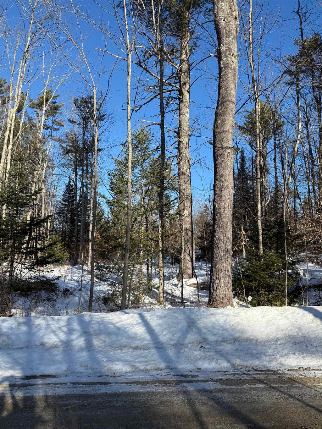 Photo of 00 Hobbs Road, Effingham, NH 03882 (MLS # 5076882)
