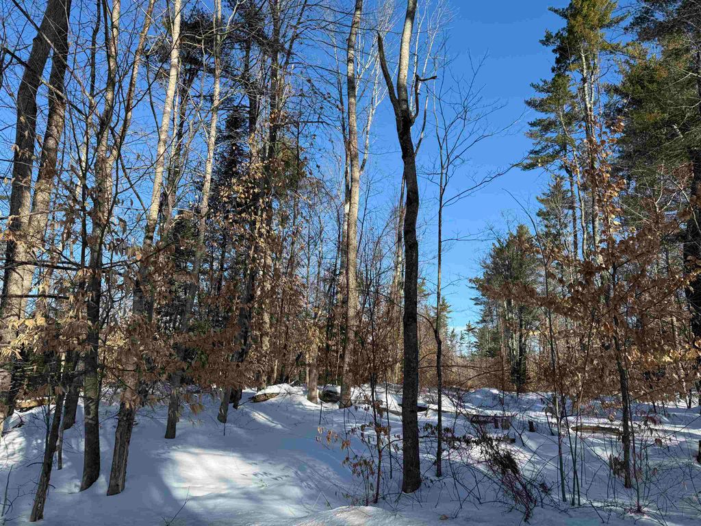 Photo of 00 Hobbs Road, Effingham, NH 03882 (MLS # 5076882)