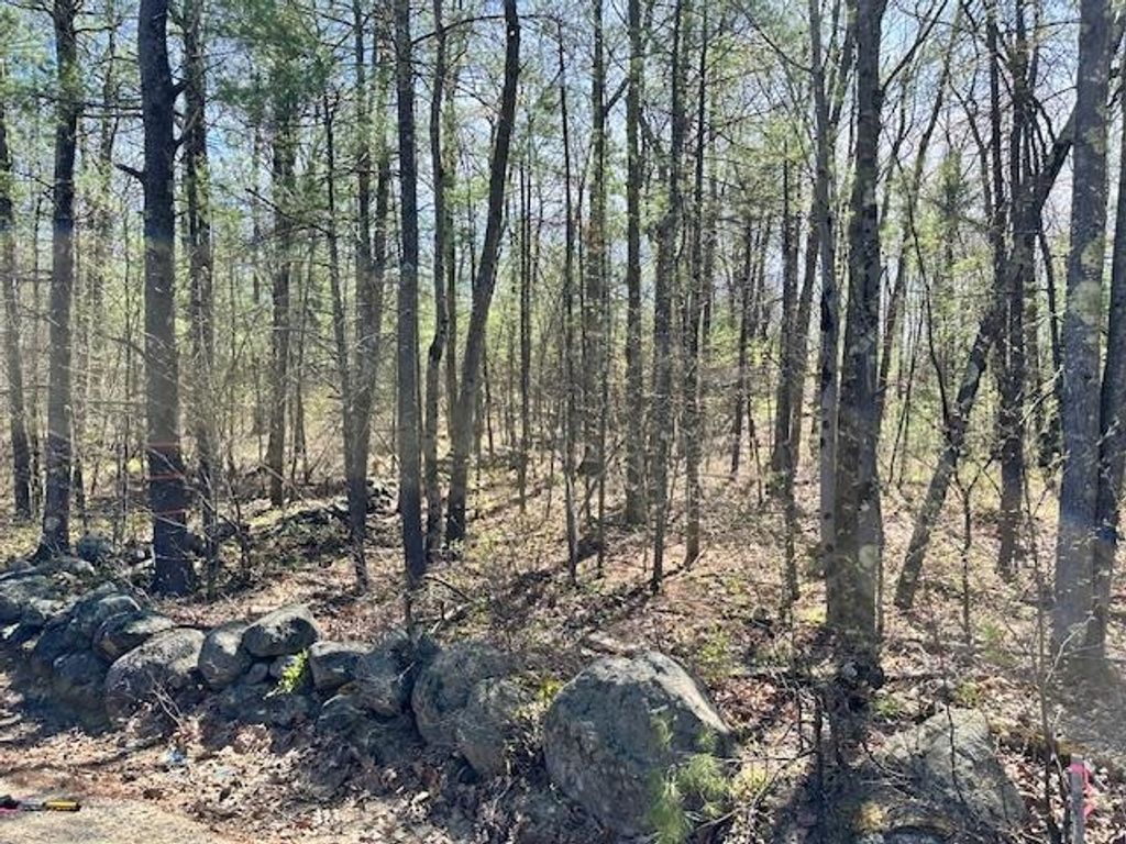 Photo of 13 South Bow Dunbarton Road #40, Bow, NH 03304 (MLS # 5039110)