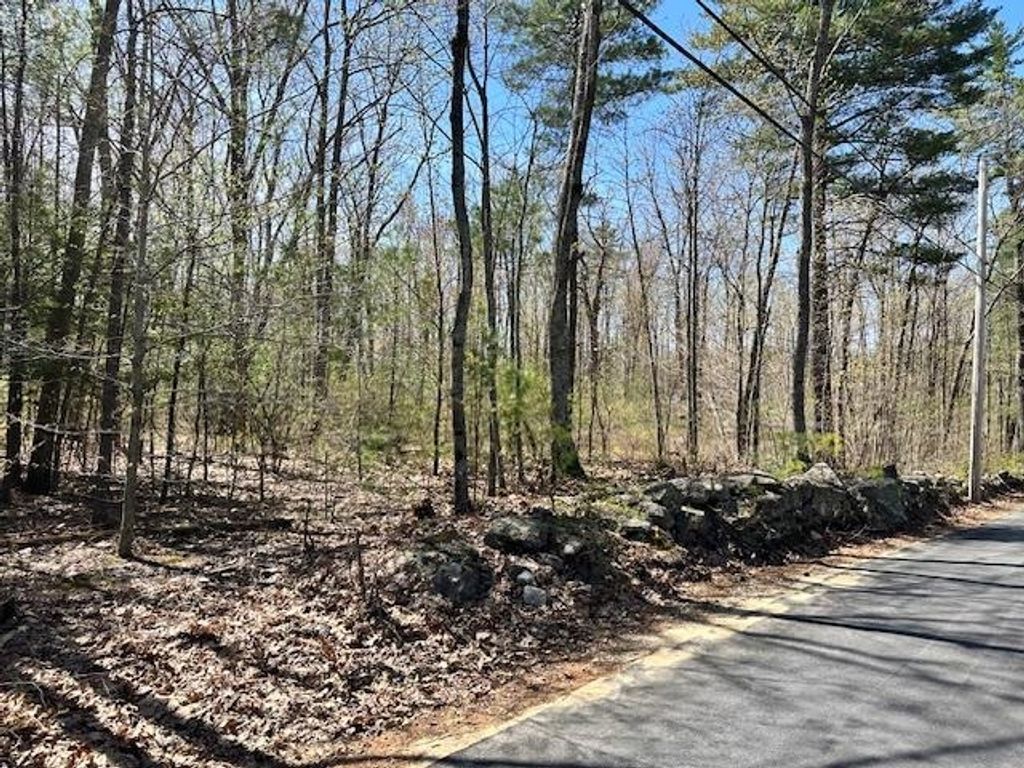 Photo of 13 South Bow Dunbarton Road #40, Bow, NH 03304 (MLS # 5039110)
