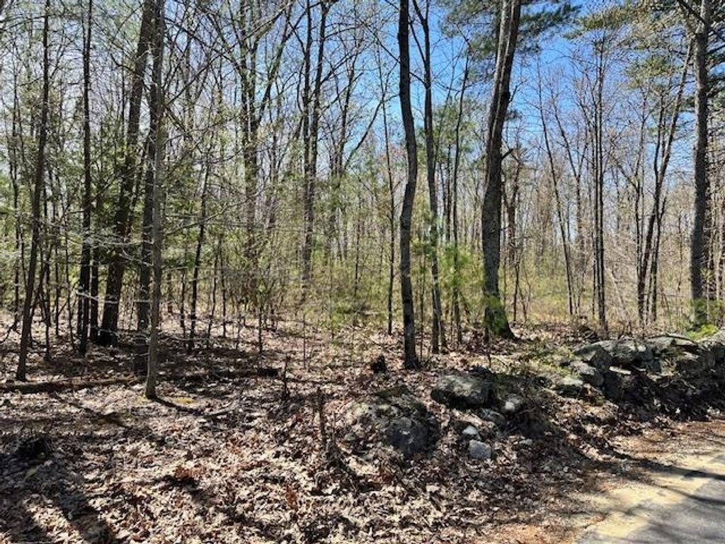 Photo of 13 South Bow Dunbarton Road #40, Bow, NH 03304 (MLS # 5039110)