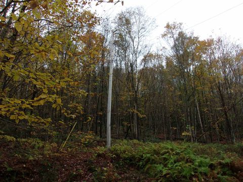 0 Foliage Lane 3 Westmore VT 25822