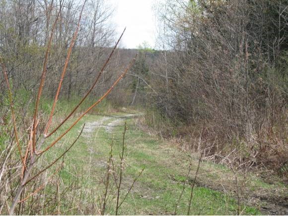 00 Wright Farm Road