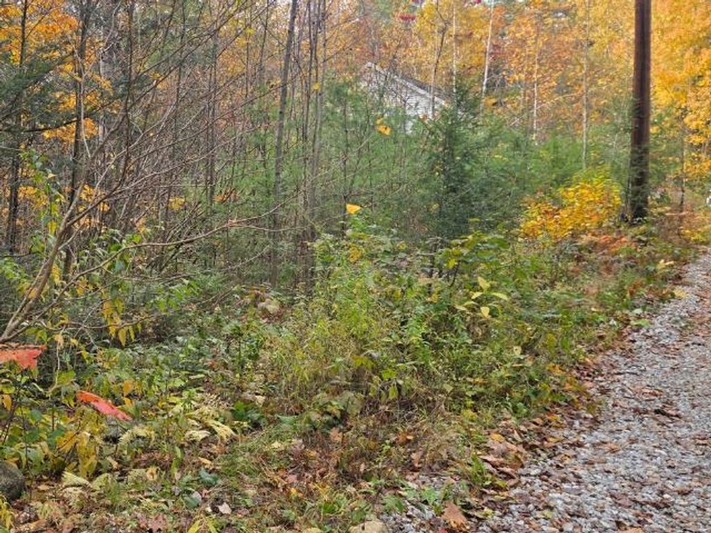 Photo of 44 Huntington Drive, Hillsborough, NH 03244 (MLS # 5067987)