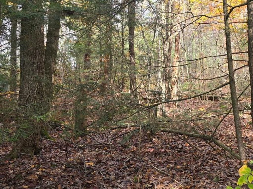 Photo of 44 Huntington Drive, Hillsborough, NH 03244 (MLS # 5067987)