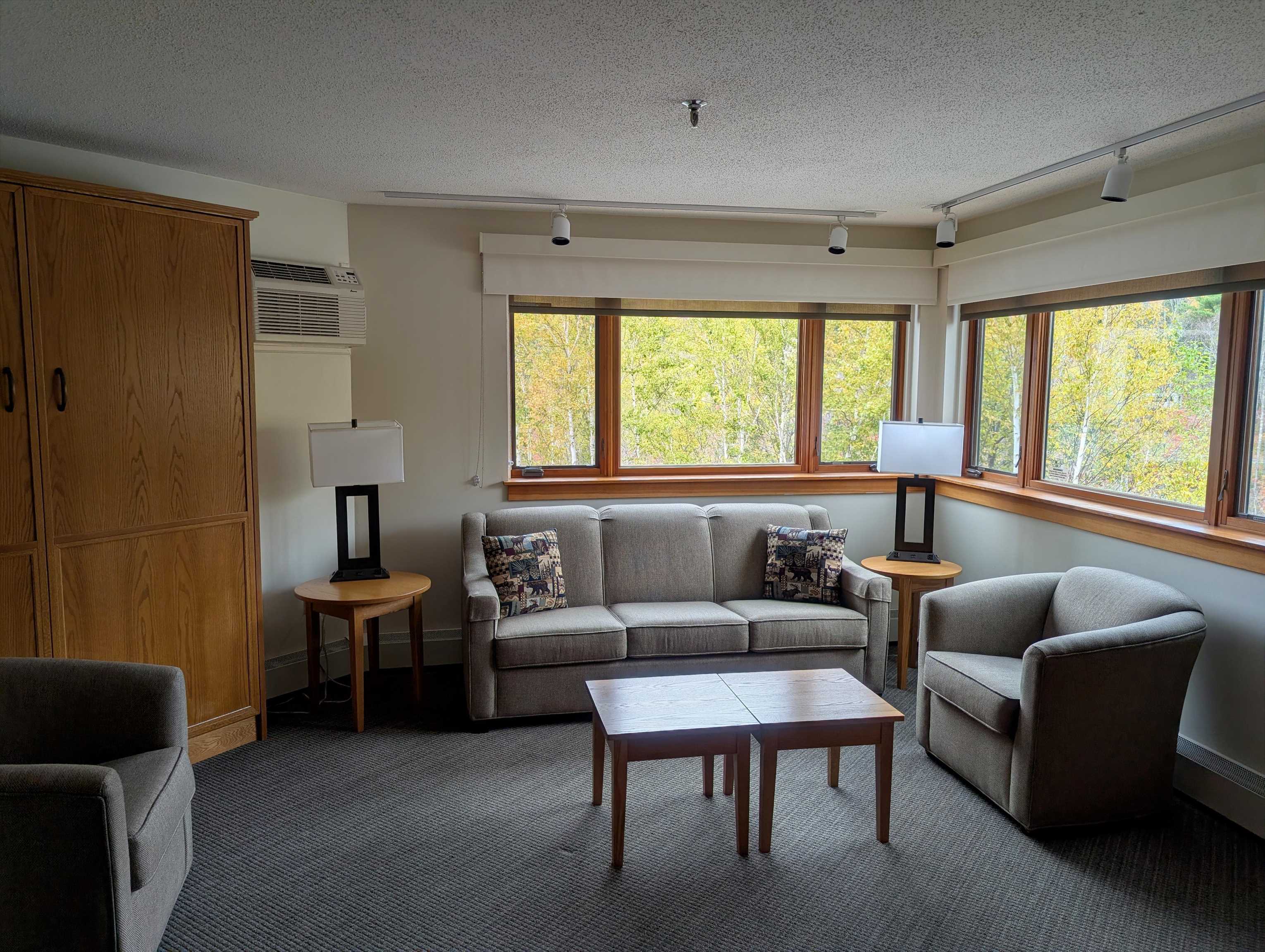 90 Loon Mountain Road 861D