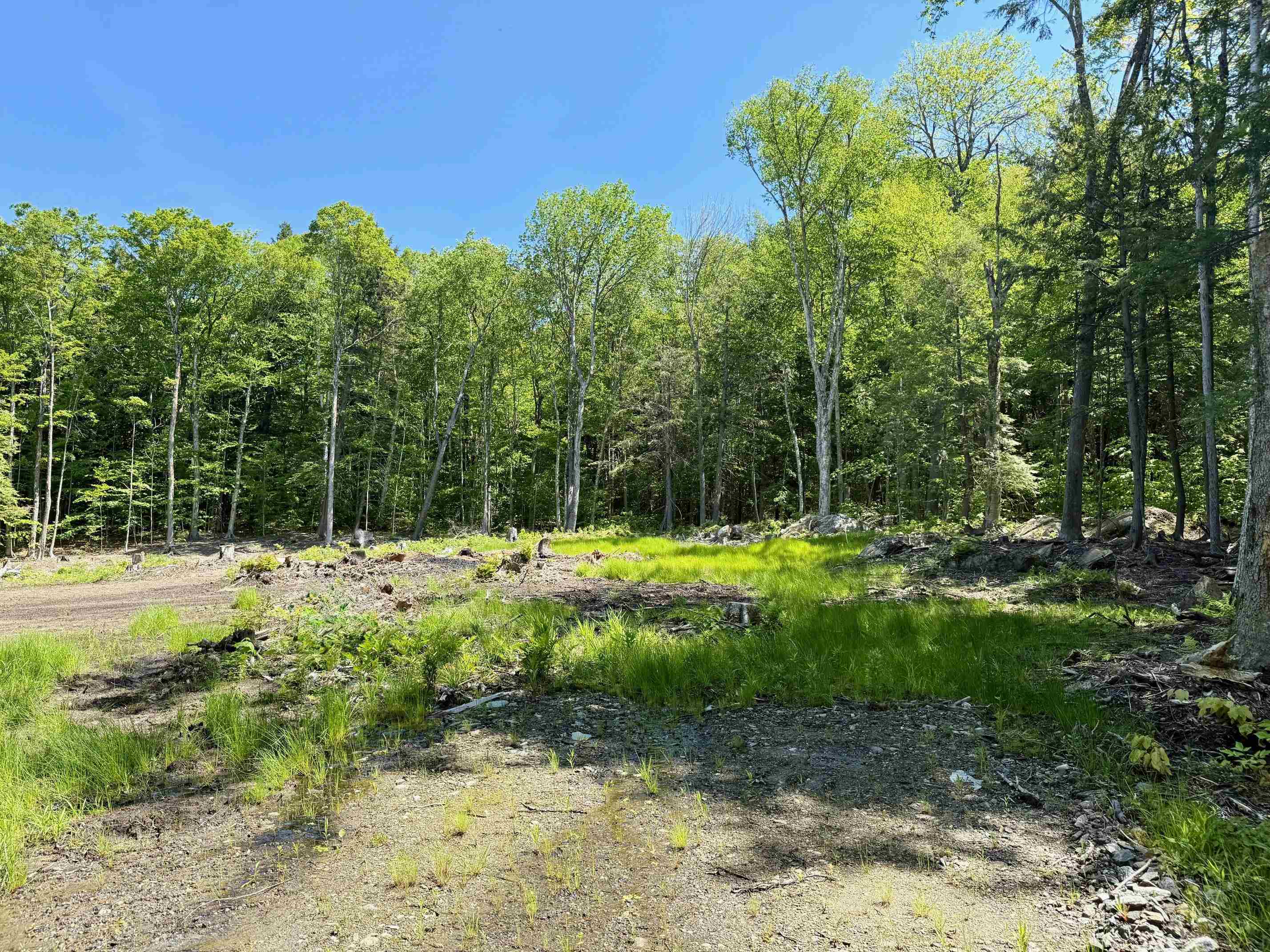 585 Sawmill Road