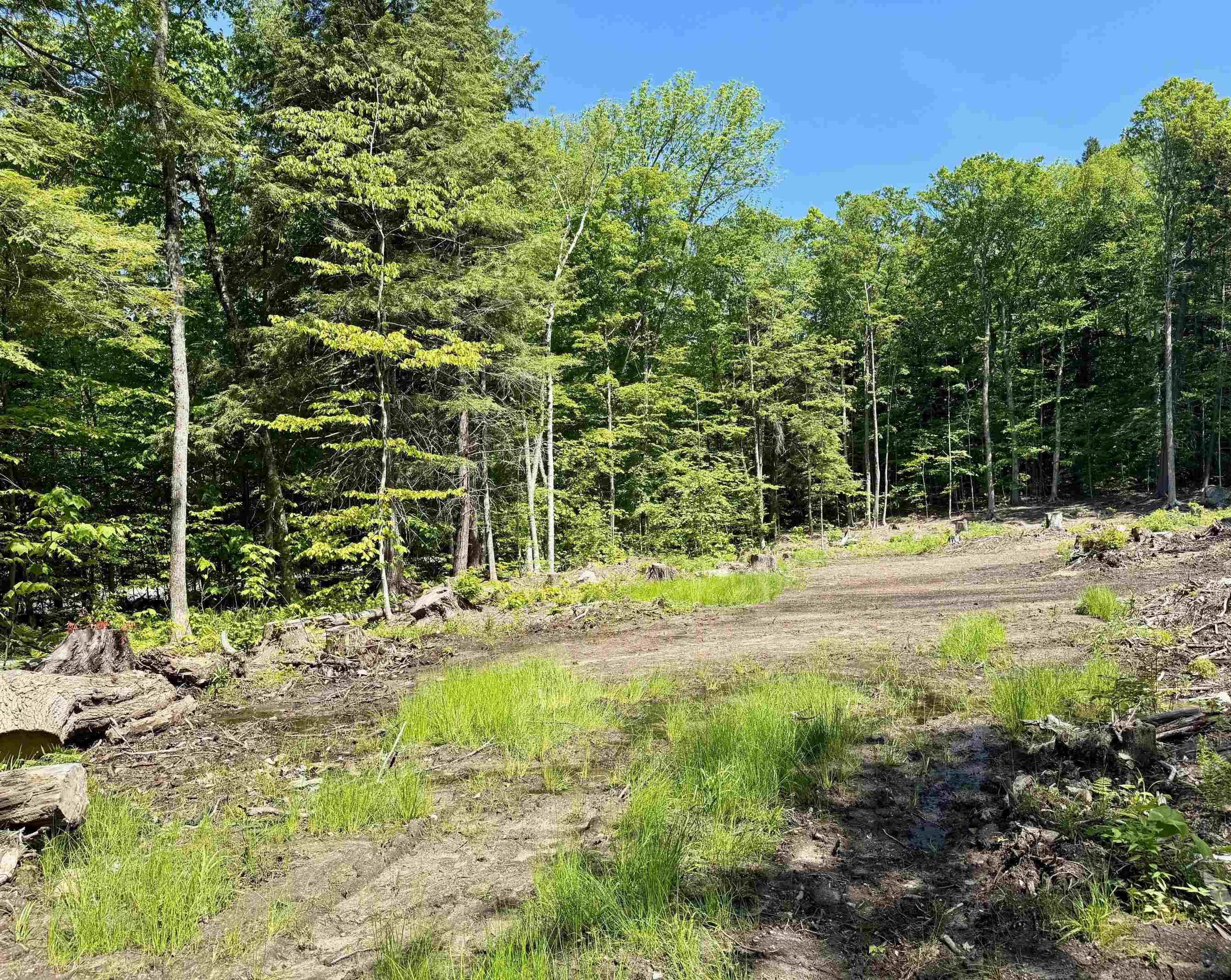 585 Sawmill Road