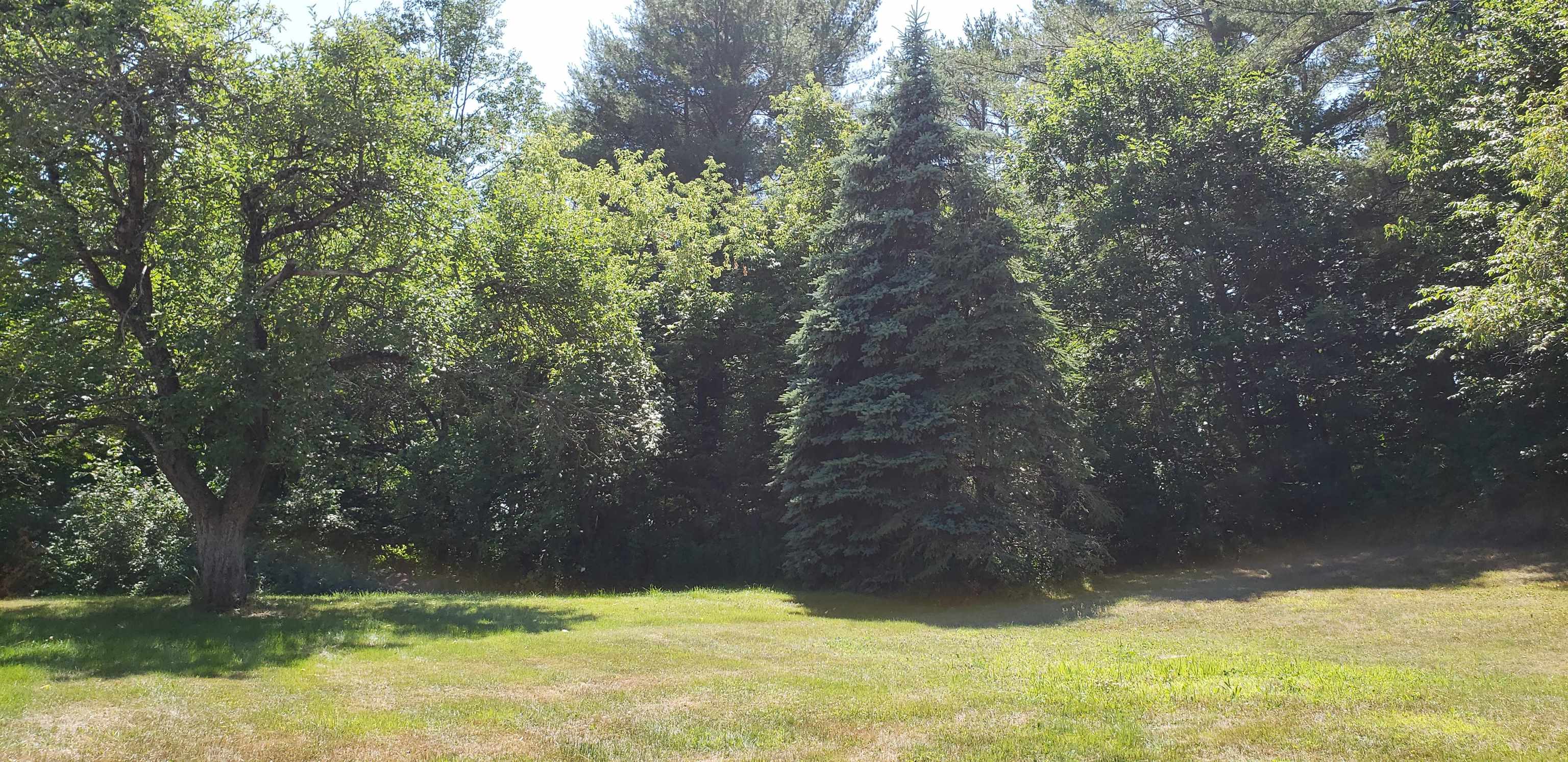 43 Reagan Road