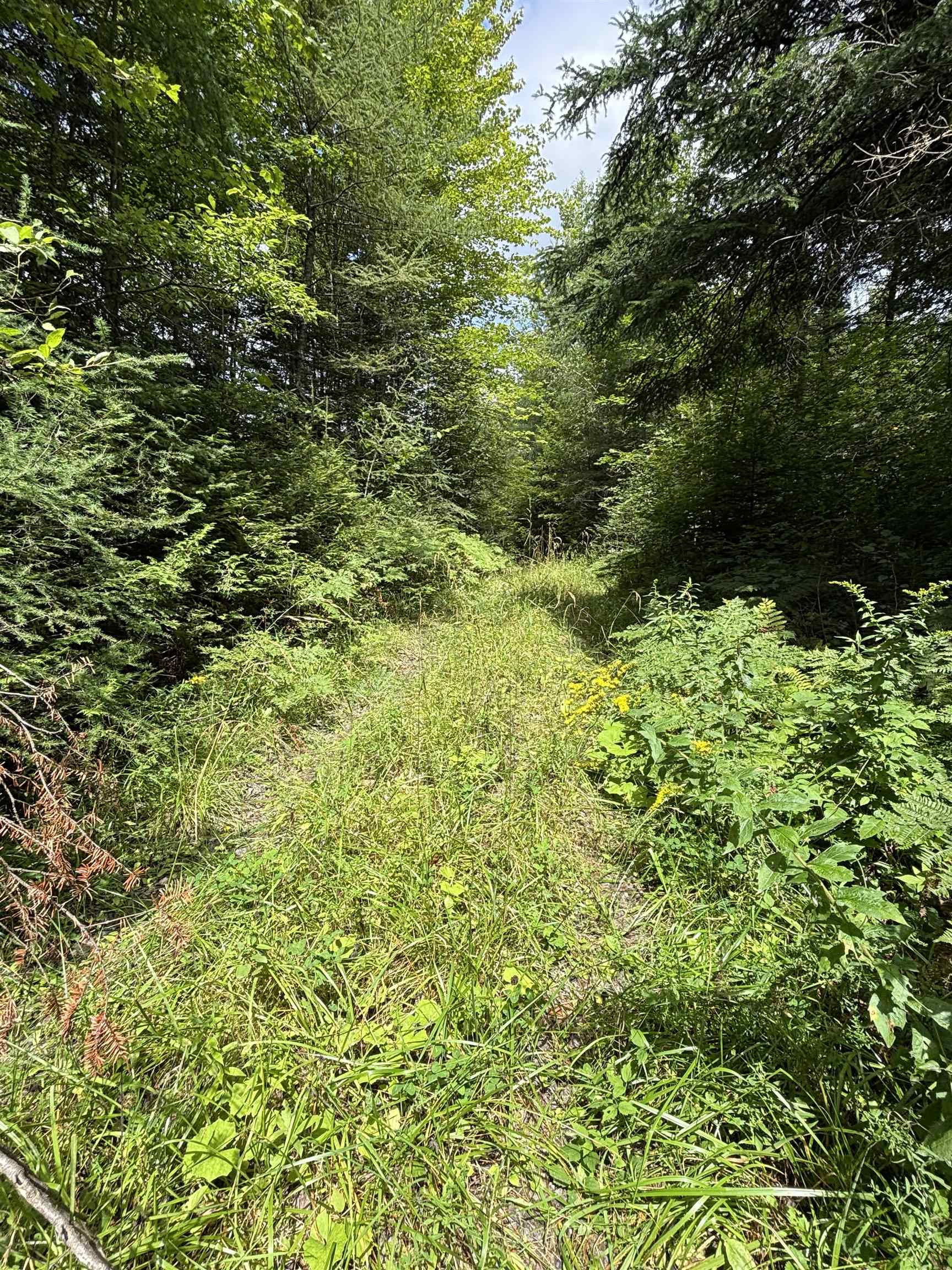 5628 South Wheelock Road